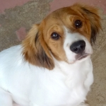 Buddy5_03