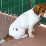 Buddy5_04