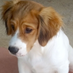 Buddy5_06