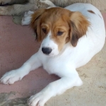 Buddy5_09