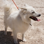 Felix-DSC05851