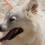 Felix-DSC05855