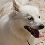 Felix-DSC05856