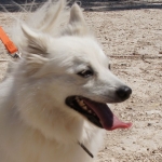 Felix-DSC05861