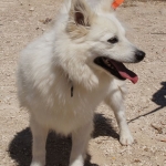 Felix-DSC05863