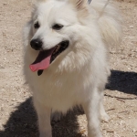 Felix-DSC05865