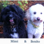 Benito & Mimi