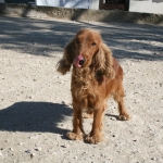 Jason (1)