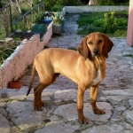 rusty_2