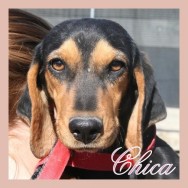 Chica (J)