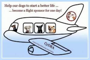 Flight Sponsorship2