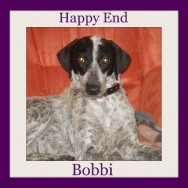 Bobbi – in happiness