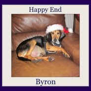 Byron – lucky boy