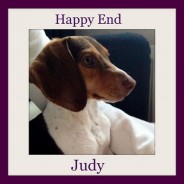 Judy – in love with her new family