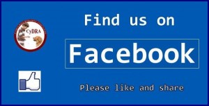 facebooksite