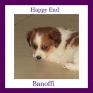Banoffi – is happy in her new home