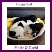 Uschi and Marie – have found together a forever home
