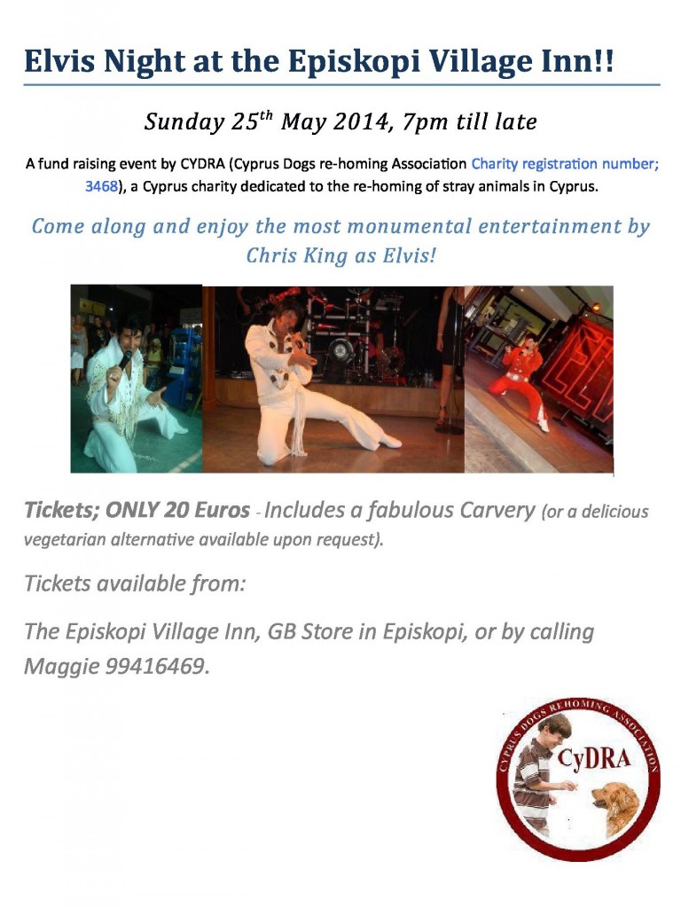 Elvis_Night_at_the_Episkopi_Village_Inn