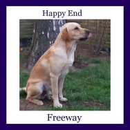 Freeway – is now called Marley