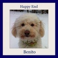 Benito – is very happy with his people and friends
