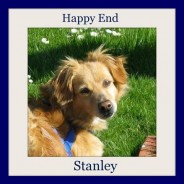 Stan – is now called Stanley