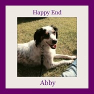 Abby – is very happy in her new home