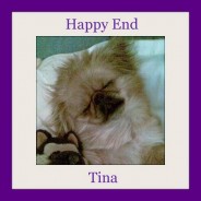 Tina – in happiness