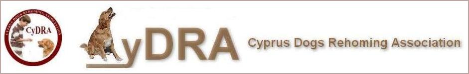 Cyprus Dogs Rehoming Association