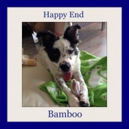 Happy End Bamboo