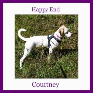 Happy Ending Courtney