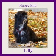 Happy Ending from Lilly