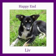 Happy End of Bonnie (formerly Liv)