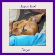 Happy End Naya