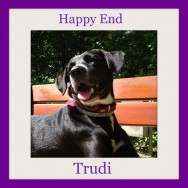 One year with Trudi