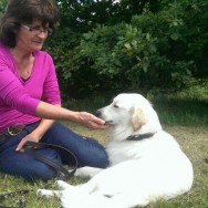 News of Joey from his forever home in Germany