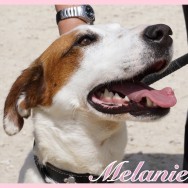 Melanie (K)