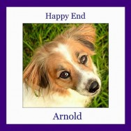 Happy End of Arnold