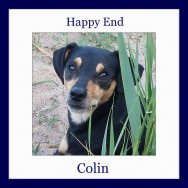 Happy End of Colin