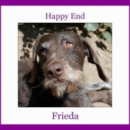 Happy End of Frieda formerly Sandra