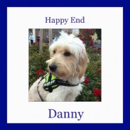 Happy Ending: One year with Danny