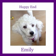 Happy End of Emily