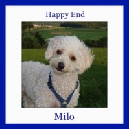 Happy End Milo