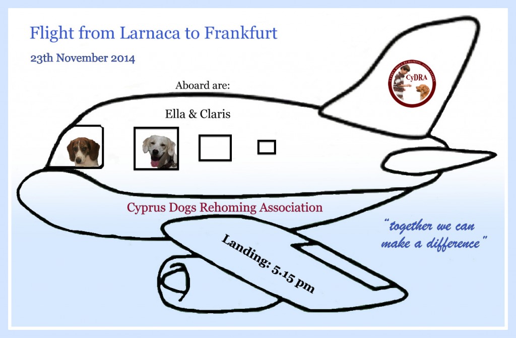 Flugzeug-23.11.2014-FFM