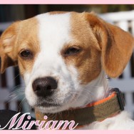 Miriam