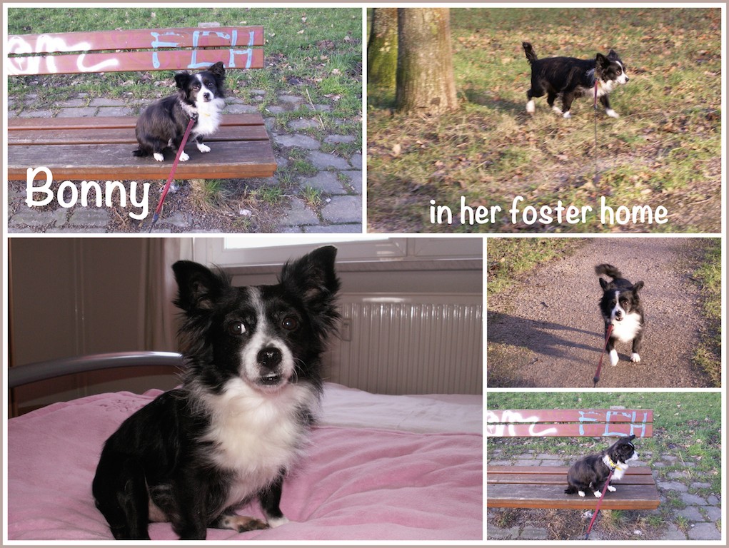 BonnyinFHUpdate