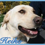 Heiko