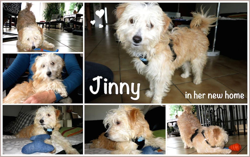 Jinnyinhernewhome