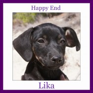 Happy End of Lika
