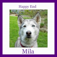 Happy Ending of Mila