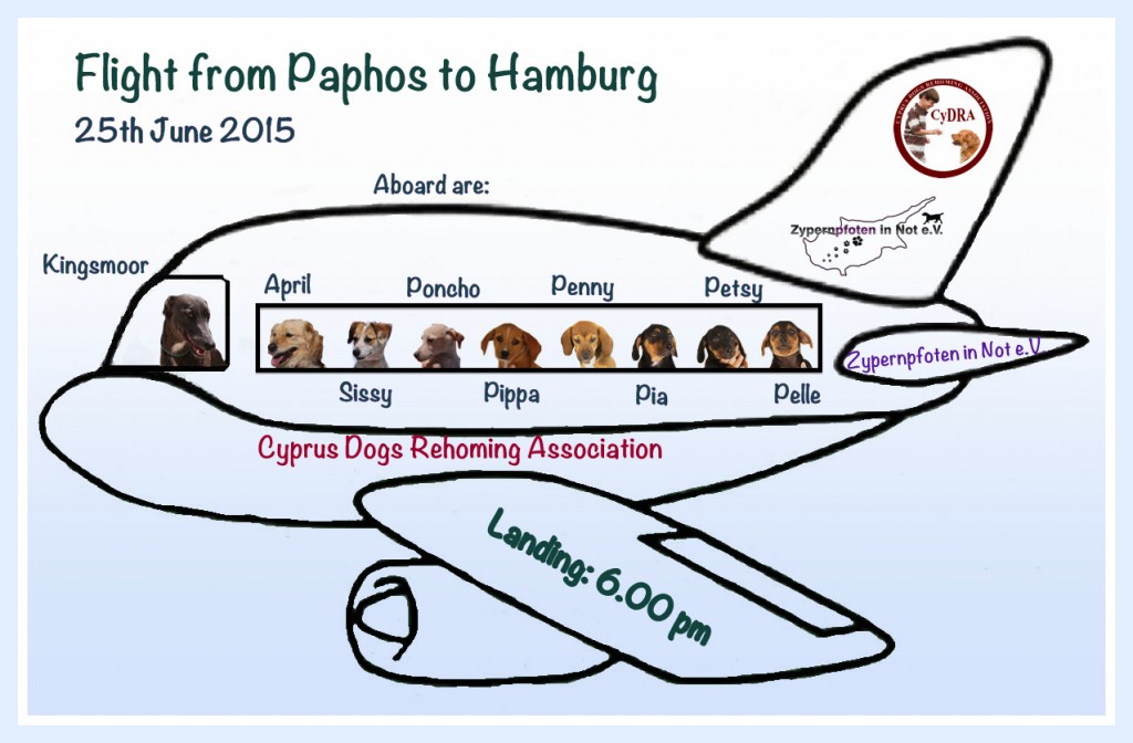 Flugzeug-24-06-2015